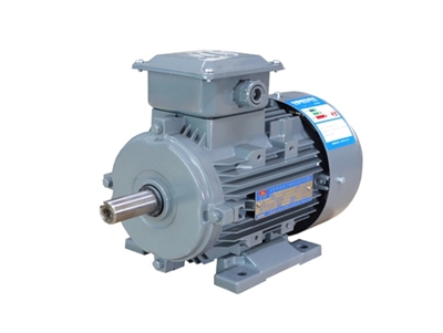 YXL系列高(gāo)效率鋁機(ji)殼三相異(yi)步電動機(jī)