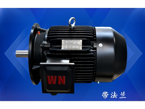 10 多級(jí)泵專用電(diàn)機（1）