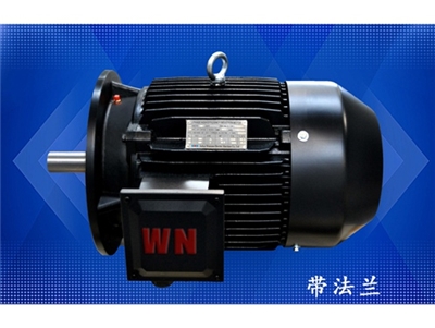 多級(ji)泵專用電(diàn)機（1）