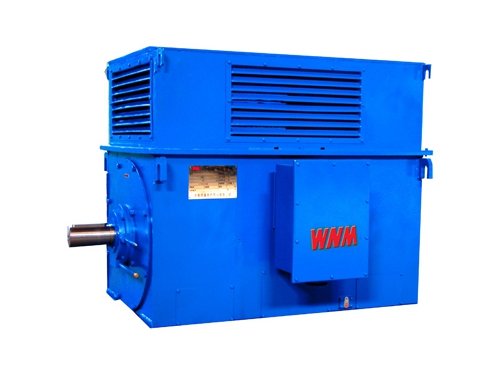 8 Y系列中(zhong)型高壓高效電(diàn)動機