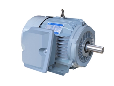 NE系列高效(xiào)高轉矩三(san)相異步電(dian)動機