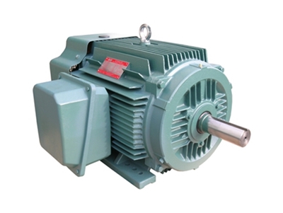 NEP系(xì)列超高效(xiào)率三相異(yi)步電動機(ji)