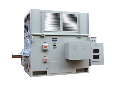YR系列高(gao)壓三相異(yì)步電動機(jī)