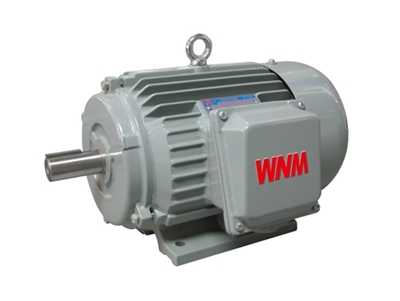 YJZ2系列(liè)機床專用(yòng)三相異步(bù)電動機