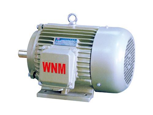 4 YD2系列變極(jí)多速三相異步(bu)電動機