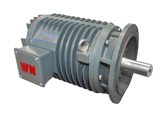 3 YG系列輥道(dao)用調速三(sān)相異步電(dian)動機