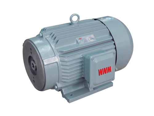1 YYB系(xi)列油泵(bèng)專用三(san)相異步(bu)電動機(jī)