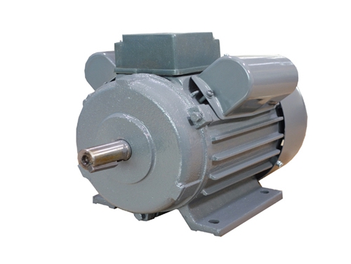 2 YL系列雙值電(diàn)容異步電動機