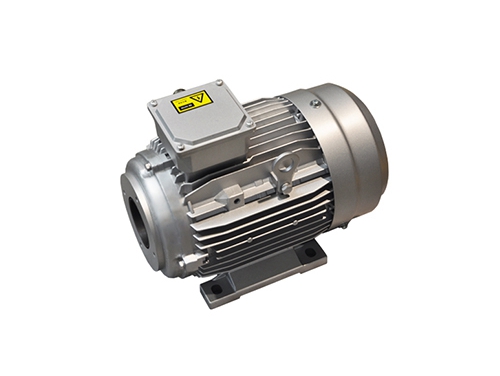 1 YYVF2系列新(xin)能源汽車助力轉(zhuan)向泵電機